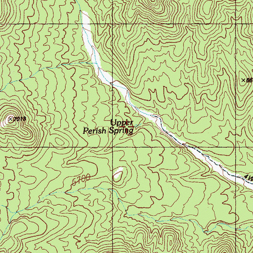 Topographic Map of Upper Perish Spring, NV