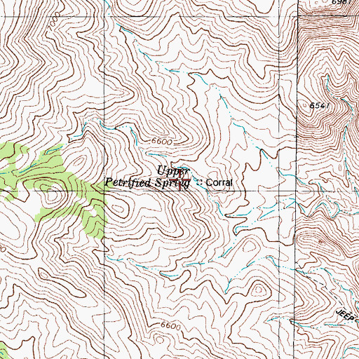 Topographic Map of Upper Petrified Spring, NV