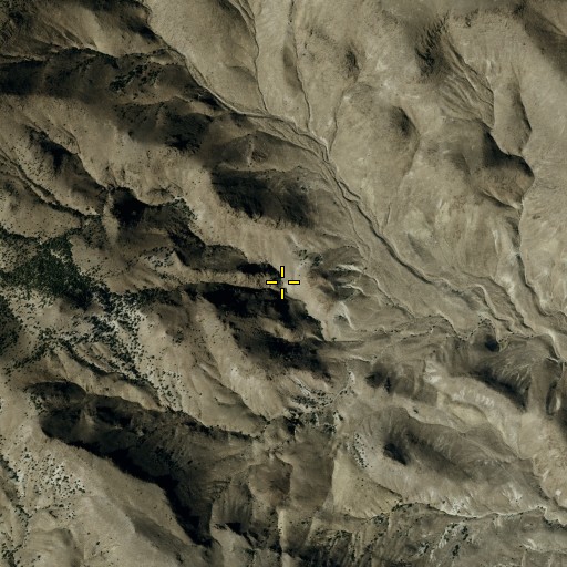 Aerial/Satellite Image of Upper Petrified Spring, NV