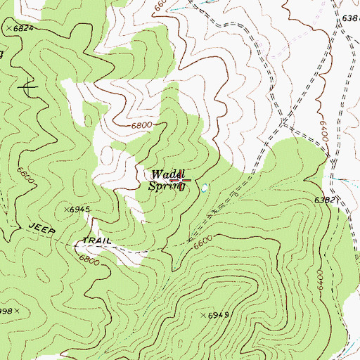 Topographic Map of Wadel Spring, NV