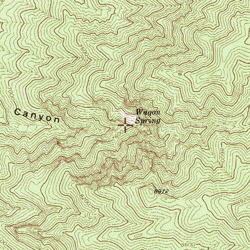 Topographic Map of Wagon Spring, NV