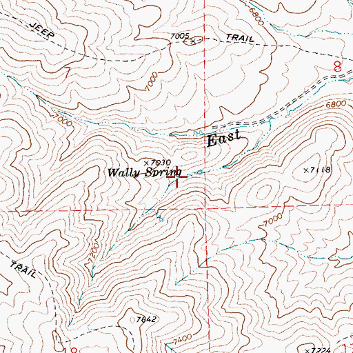 Topographic Map of Wally Spring, NV