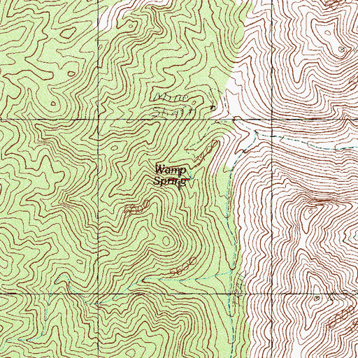 Topographic Map of Wamp Spring, NV