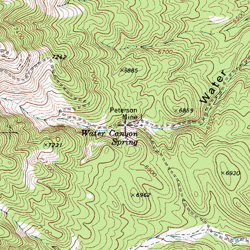 Topographic Map of Water Canyon Spring, NV