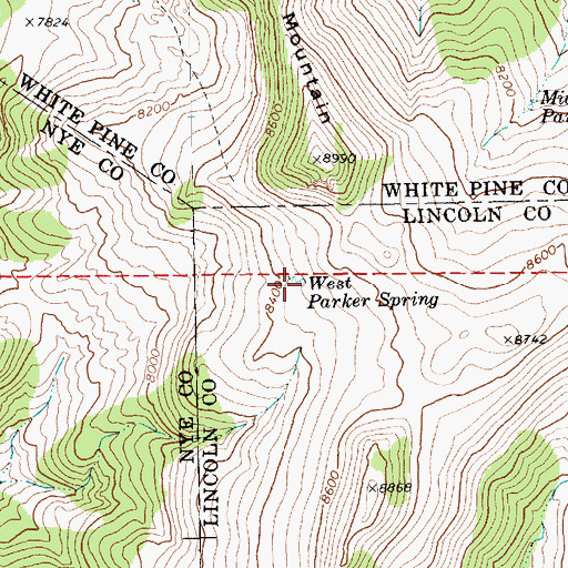 Topographic Map of West Parker Spring, NV
