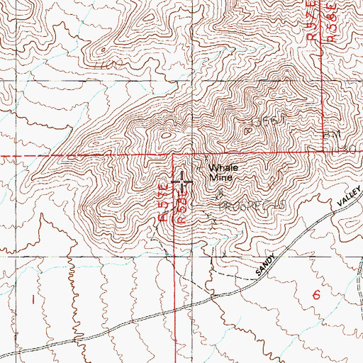 Topographic Map of Whale Mine, NV