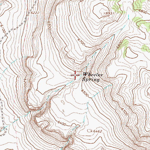 Topographic Map of Wheeler Spring, NV