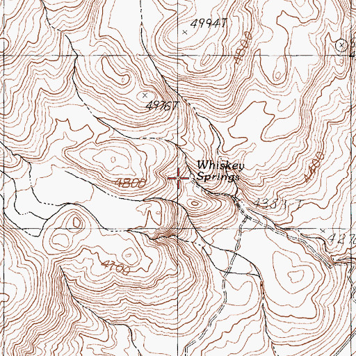 Topographic Map of Whiskey Springs, NV