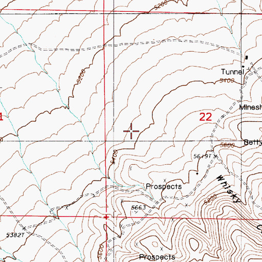 Topographic Map of Whisky Canyon, NV