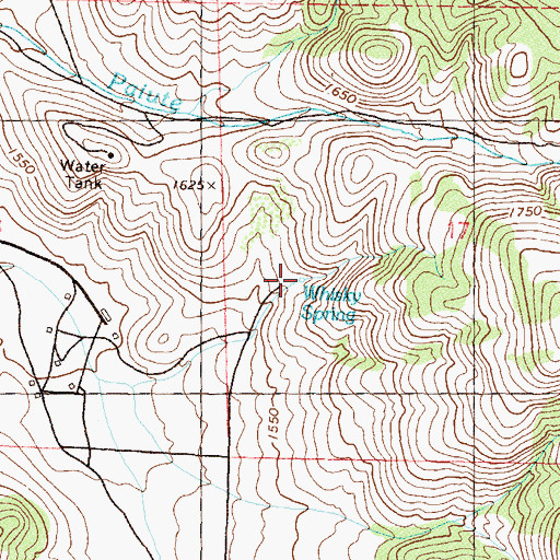 Topographic Map of Whisky Spring, NV