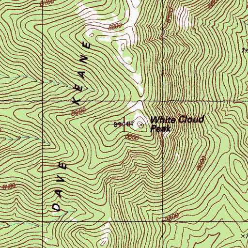 Topographic Map of White Cloud Peak, NV