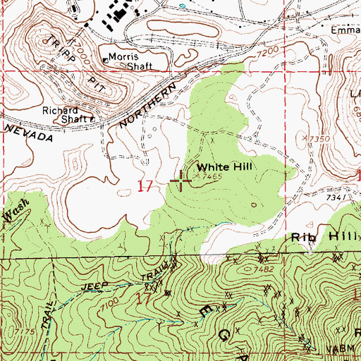 Topographic Map of White Hill, NV