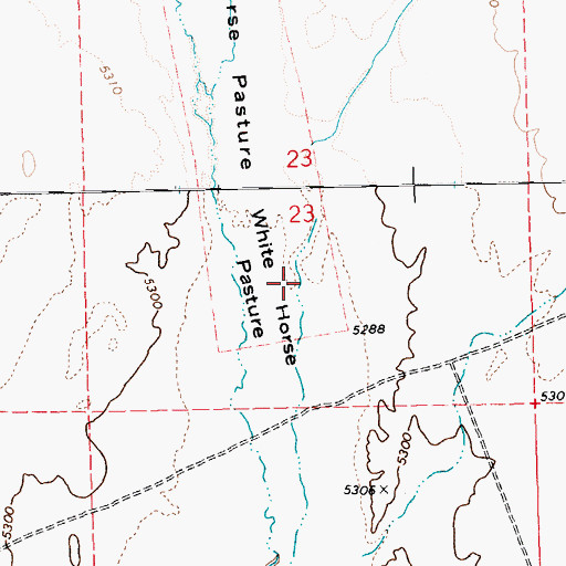 Topographic Map of White Horse Pasture, NV