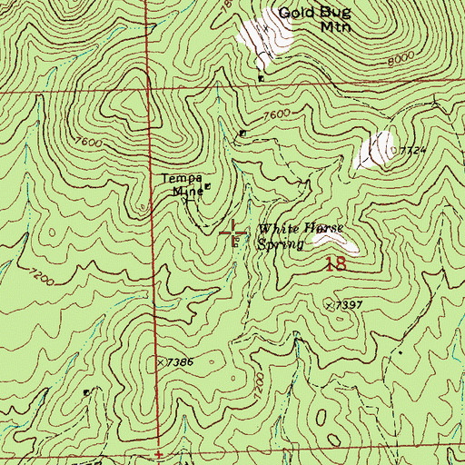 Topographic Map of White Horse Spring, NV