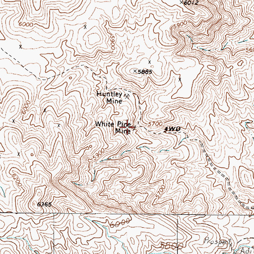 Topographic Map of White Pine Mine, NV