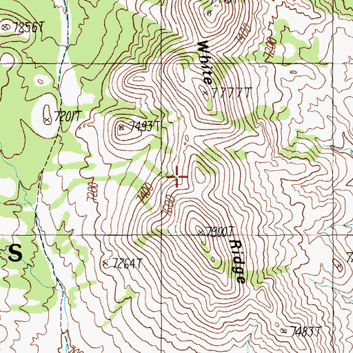 Topographic Map of White Ridge, NV