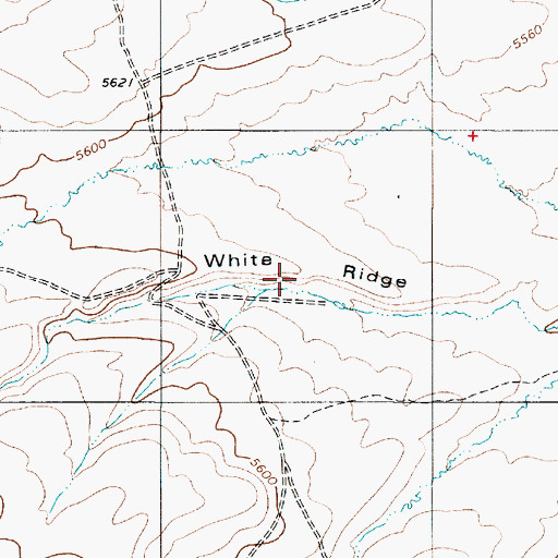 Topographic Map of White Ridge, NV
