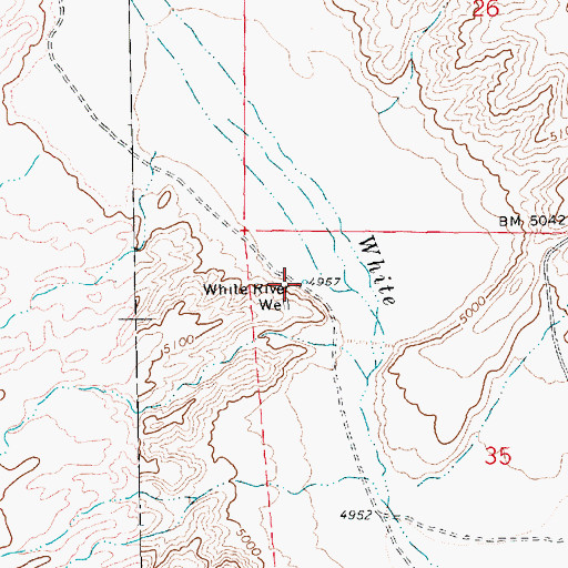 Topographic Map of White River Well, NV