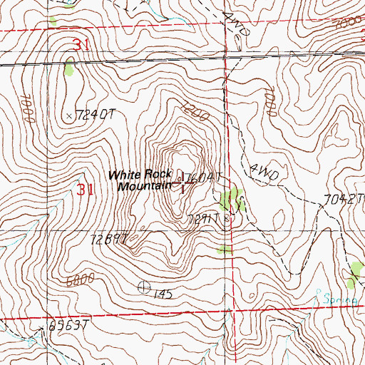 Topographic Map of White Rock Mountain, NV