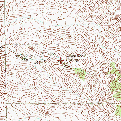 Topographic Map of White Rock Spring, NV