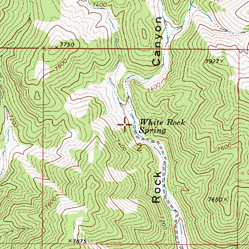 Topographic Map of White Rock Spring, NV