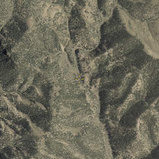 Aerial/Satellite Image of White Rock Spring, NV
