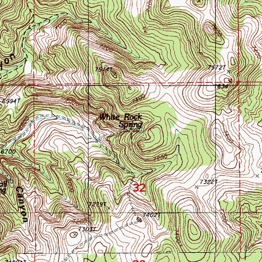 Topographic Map of White Rock Spring, NV
