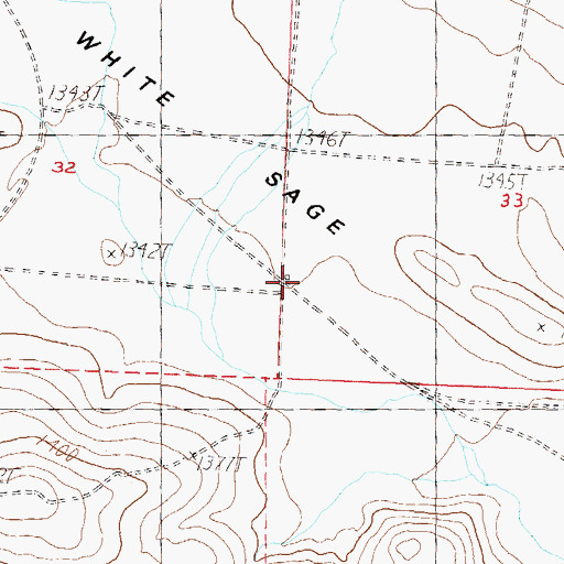 Topographic Map of White Sage Flat, NV