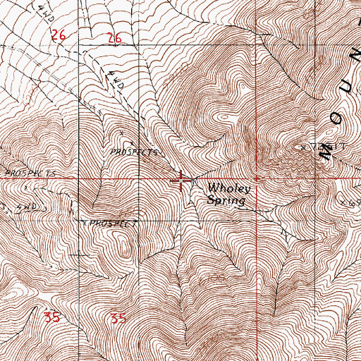 Topographic Map of Wholey Spring, NV