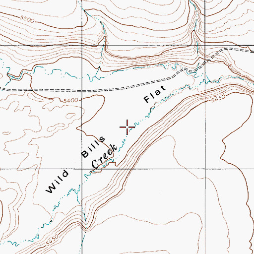 Topographic Map of Wild Bills Flat, NV