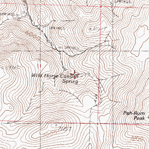 Topographic Map of Wild Horse Canyon Spring, NV