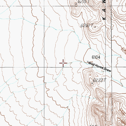 Topographic Map of Wild Horse Draw, NV