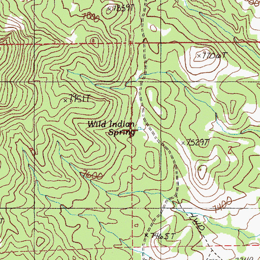 Topographic Map of Wild Indian Spring, NV