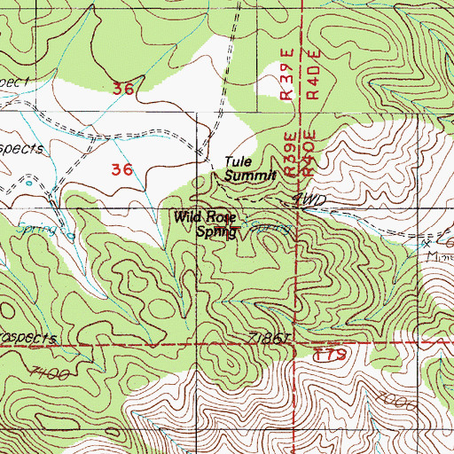 Topographic Map of Wild Rose Spring, NV
