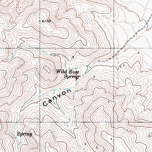 Topographic Map of Wild Rose Spring, NV