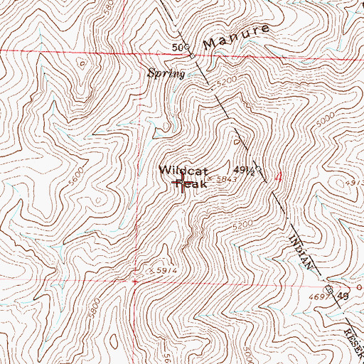 Topographic Map of Wildcat Peak, NV