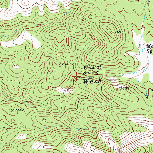Topographic Map of Wildcat Spring, NV