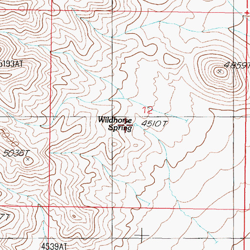 Topographic Map of Wildhorse Spring, NV