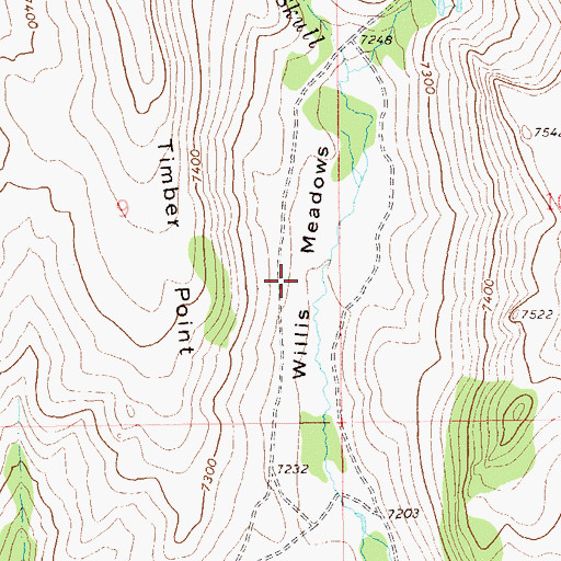 Topographic Map of Willis Meadows, NV