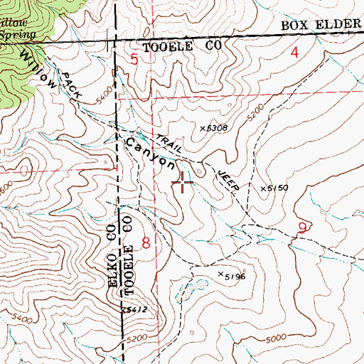 Topographic Map of Willow Canyon, NV