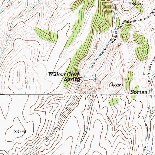 Topographic Map of Willow Creek Spring, NV