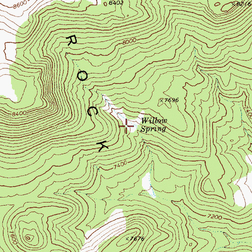 Topographic Map of Willow Spring, NV
