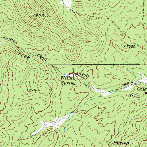 Topographic Map of Willow Spring, NV
