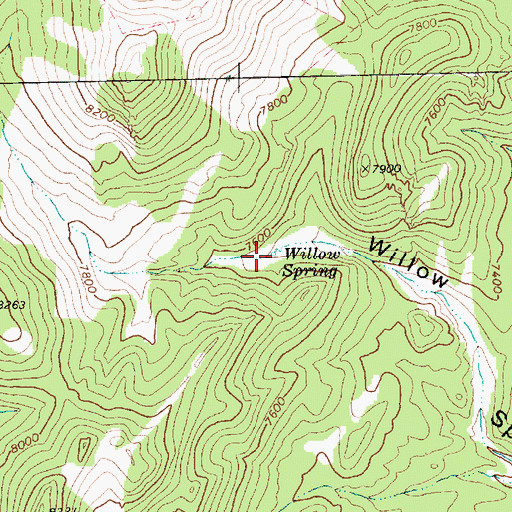 Topographic Map of Willow Spring, NV