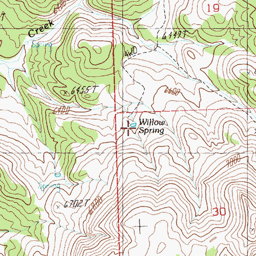 Topographic Map of Willow Spring, NV