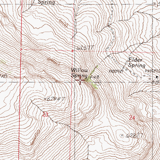 Topographic Map of Willow Spring, NV