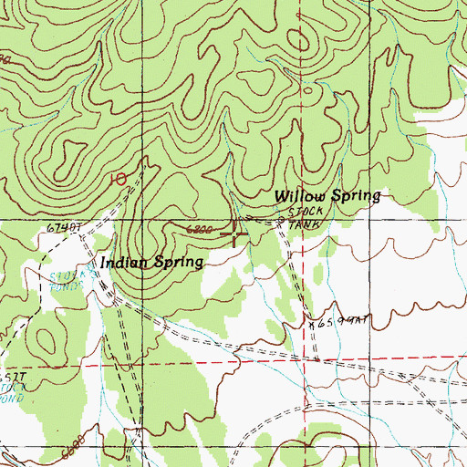 Topographic Map of Willow Spring, NV