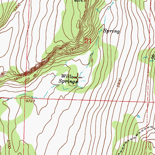 Topographic Map of Willow Springs, NV