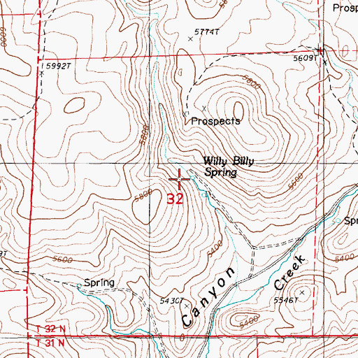 Topographic Map of Willy Billy Spring, NV