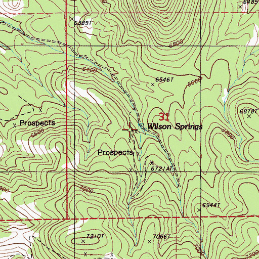Topographic Map of Wilson Springs, NV